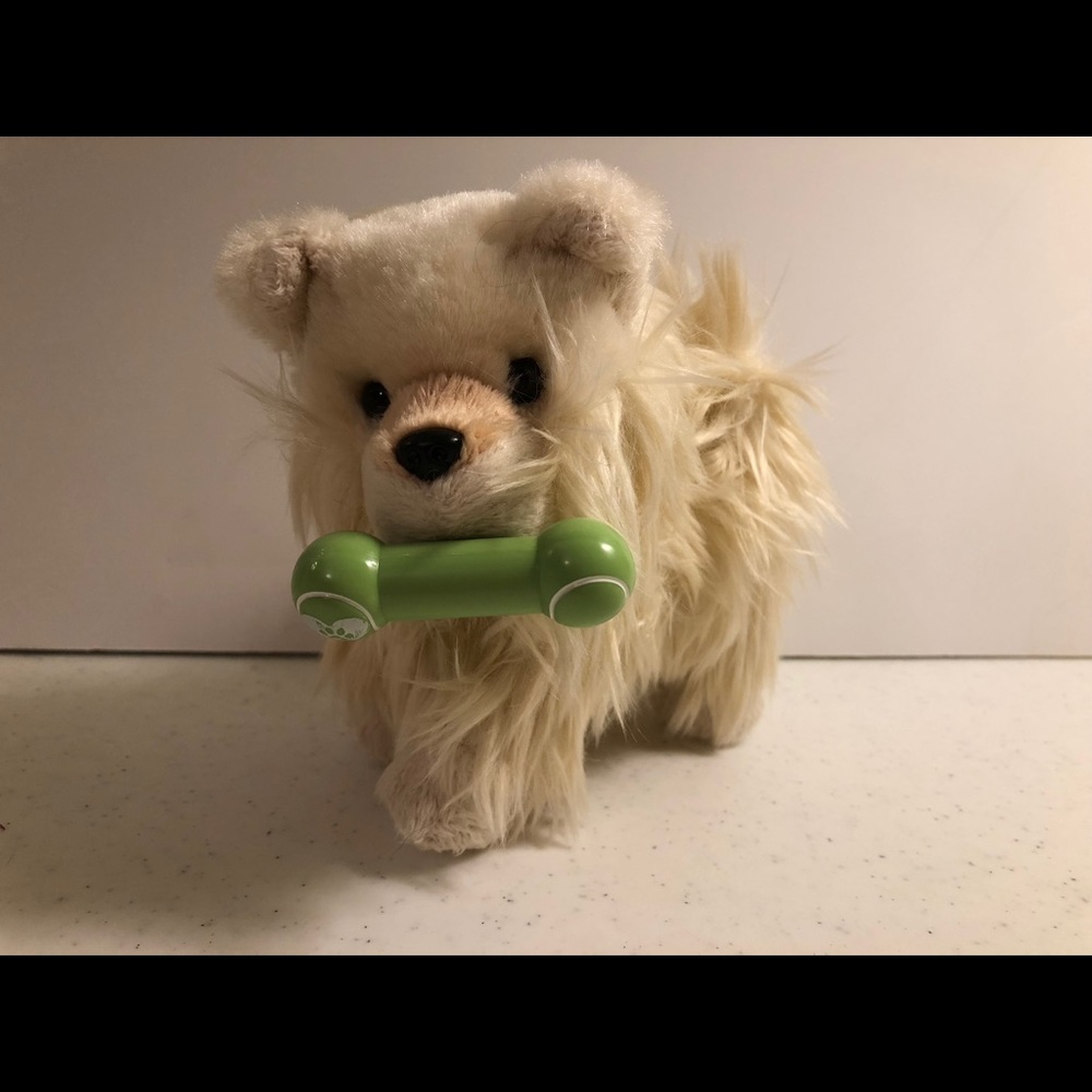 American Girl Dog